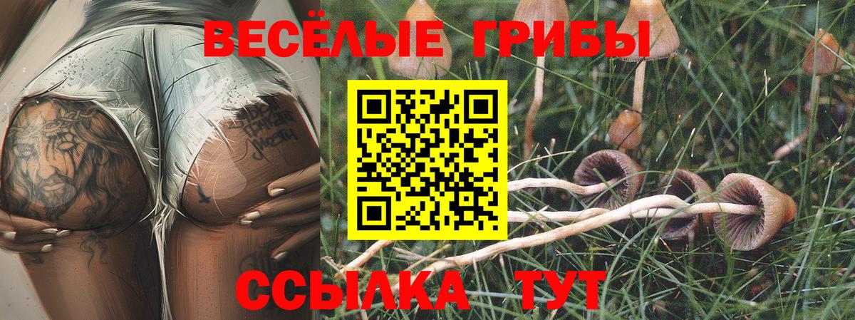 Псилоцибиновые грибы MAGIC MUSHROOMS  Псилоцибиновые грибы Cubensis  Вход с VPN  Южноуральск 