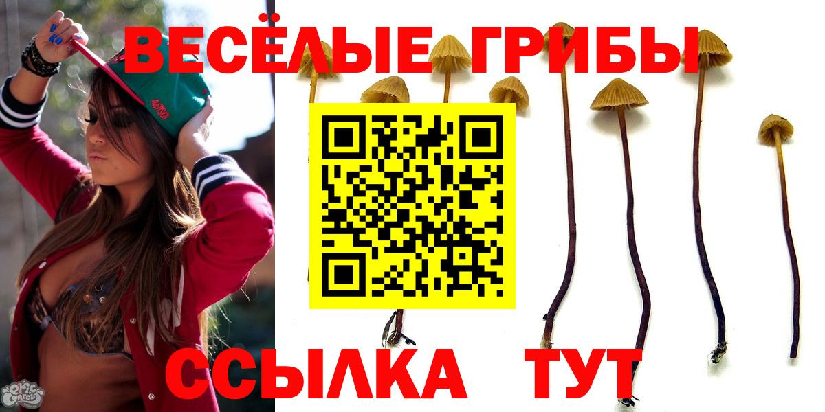 Псилоцибиновые грибы Cubensis Южноуральск
